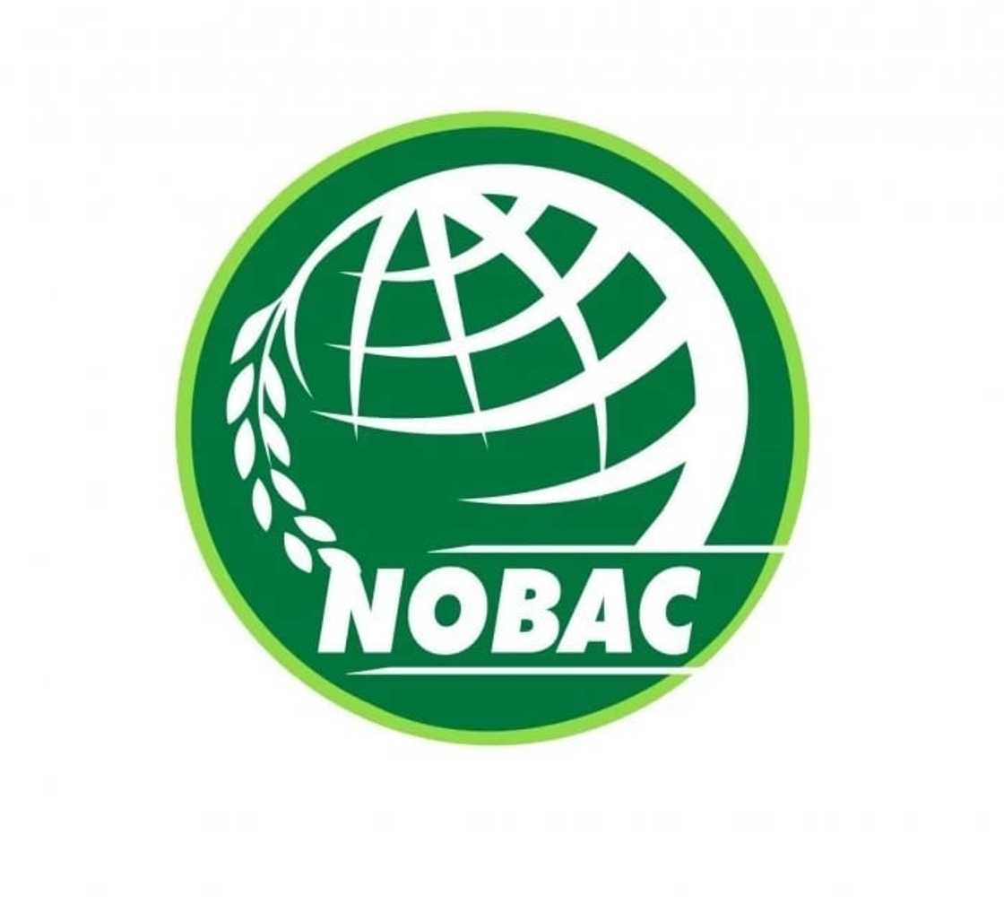 food processing companies in tema ghana
major food processing companies in ghana
names of food processing companies in ghana
agro food processing companies in ghana food processing companies in tema ghana
major food processing companies in ghana
names of food processing companies in ghana
agro food processing companies in ghana