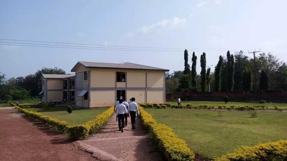 offinso college of education forms
admission list of offinso college of education
offinso college of education campus offinso college of education forms
admission list of offinso college of education
offinso college of education campus