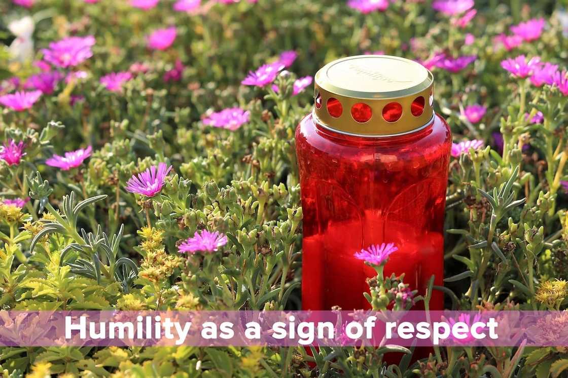 humility in the bible, humble yourself before the lord, humility scriptures humility in the bible, humble yourself before the lord, humility scriptures