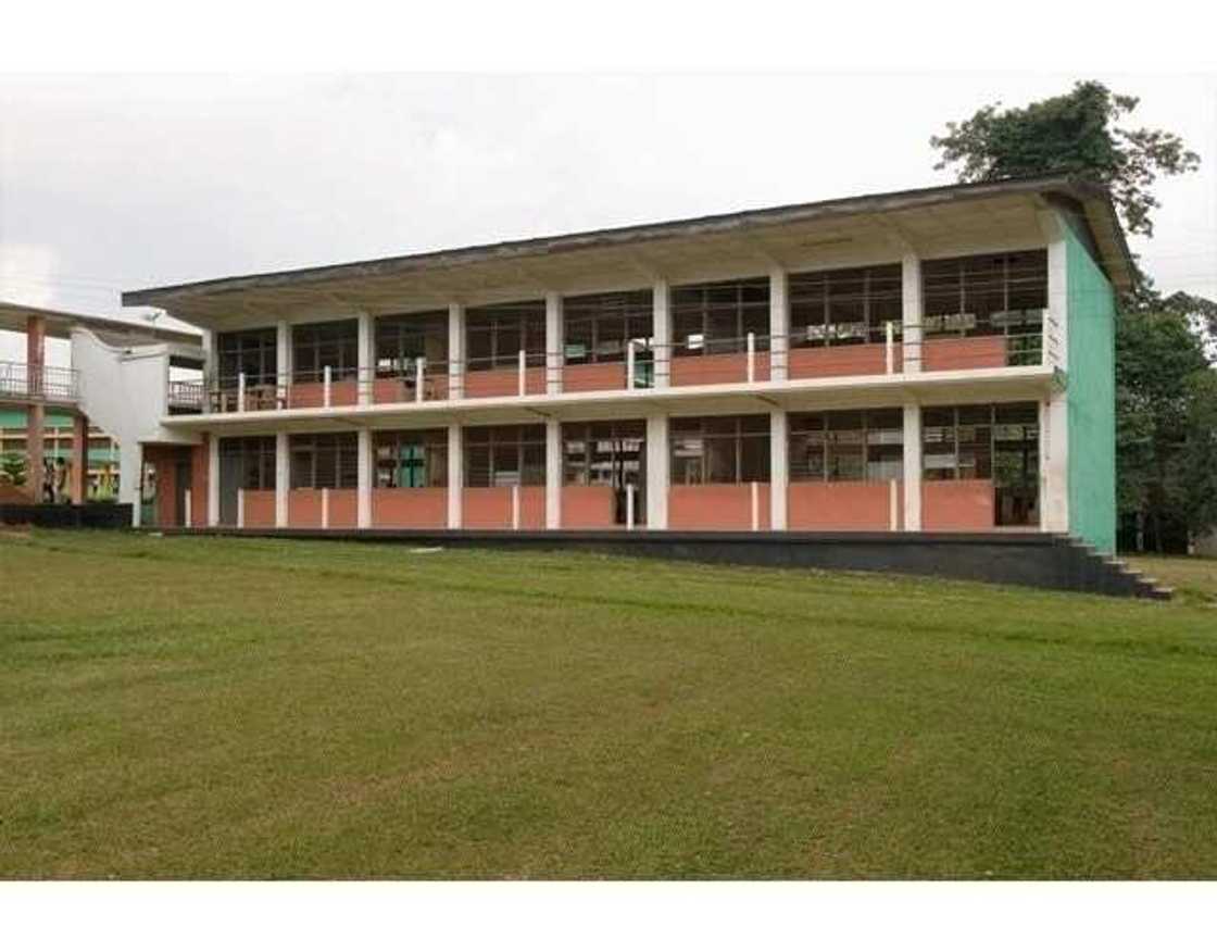 ghana national college in cape coast
ghana national college houses
ghana national college facebook ghana national college in cape coast
ghana national college houses
ghana national college facebook