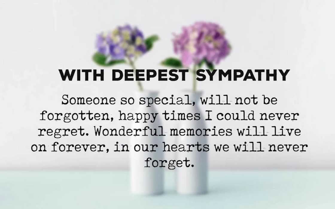 quick condolence messages, deepest condolence messages example, christian condolence messages examples quick condolence messages, deepest condolence messages example, christian condolence messages examples