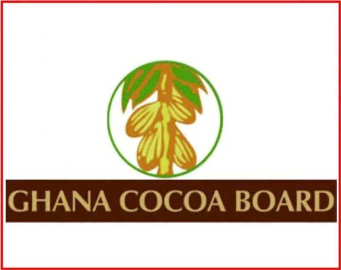 Ghana Cocoa Board Ghana Cocoa Board
