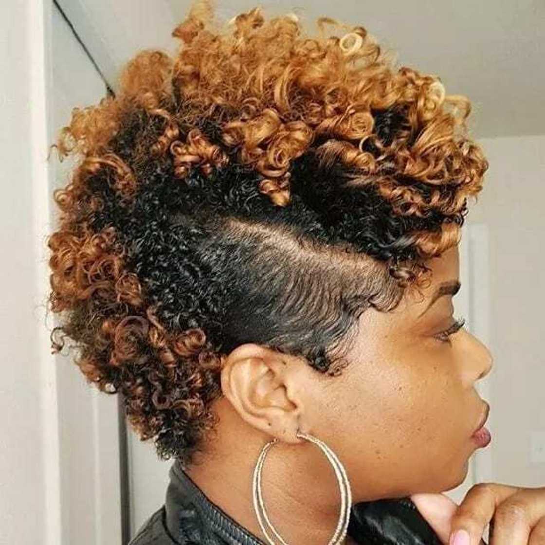 how to style natural hair
black natural hairstyles
natural short hairstyles
how to style short natural hair how to style natural hair
black natural hairstyles
natural short hairstyles
how to style short natural hair