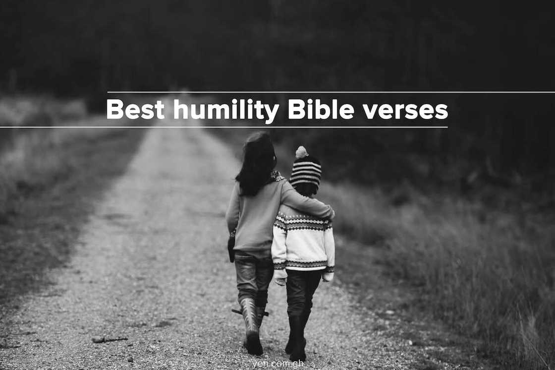 humility in the bible, humble yourself before the lord, humility scriptures humility in the bible, humble yourself before the lord, humility scriptures
