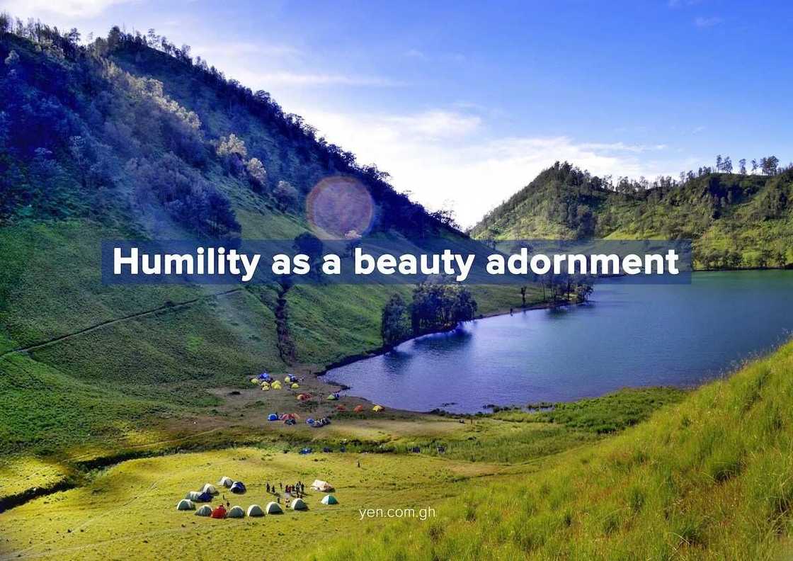 humility in the bible, humble yourself before the lord, humility scriptures