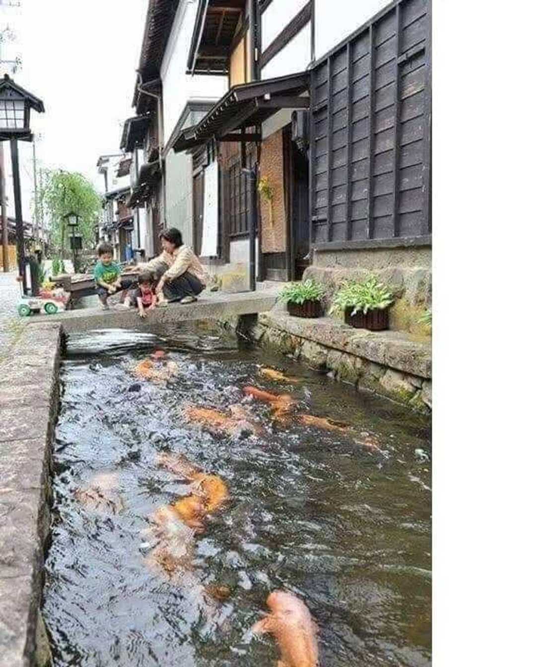 5 Photos of Japanese gutters that proves Japan is far ahead of Ghana 5 Photos of Japanese gutters that proves Japan is far ahead of Ghana