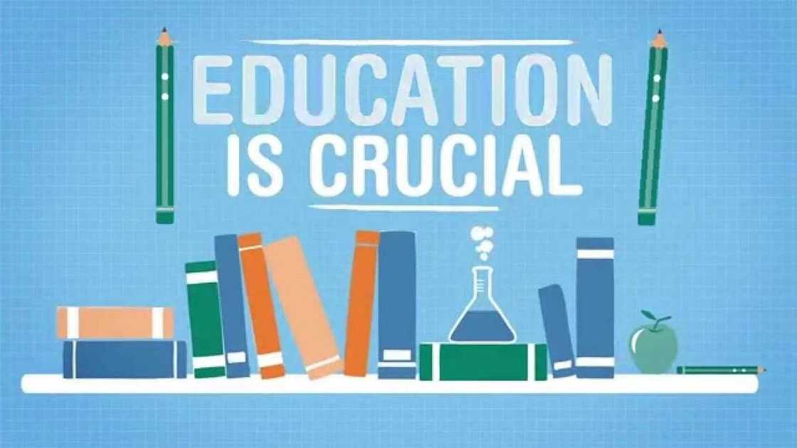 importance of basic education pdf, why is free education important, positive facts about education