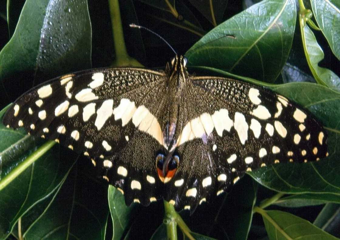 10 best tourist sites in Ghana you should visit at least once in your life 10 best tourist sites in Ghana you should visit at least once in your life