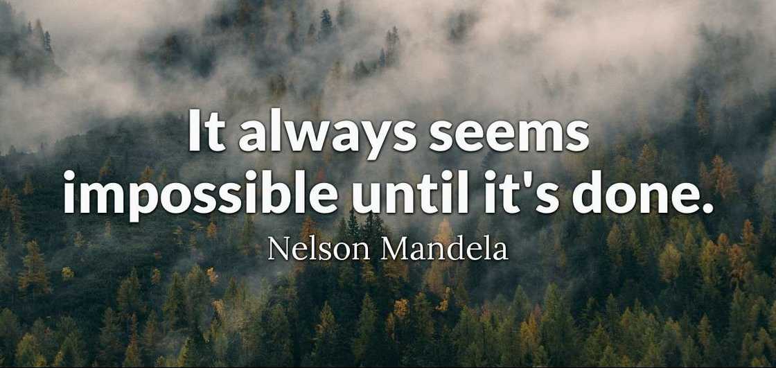 brainy quotes about life
brainy quotes for whatsapp status
thought for the day brainy quotes brainy quotes about life
brainy quotes for whatsapp status
thought for the day brainy quotes