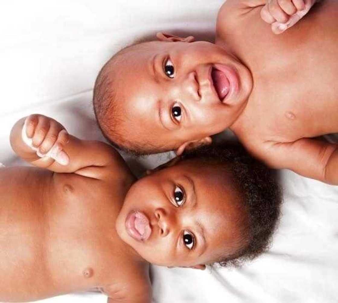 uncommon christian names and their meaning
biblical names and meaning
biblical meaning of names
names of women in the bible uncommon christian names and their meaning
biblical names and meaning
biblical meaning of names
names of women in the bible