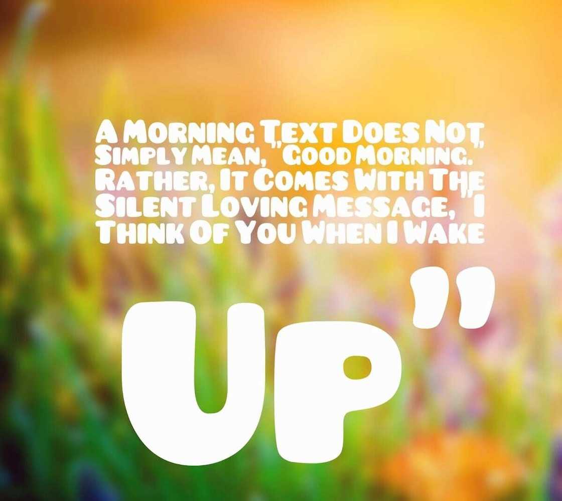 love sms text messages
best love text messages
good night love text messages
deep love text messages
good morning love text messages for him
beautiful love text messages love sms text messages
best love text messages
good night love text messages
deep love text messages
good morning love text messages for him
beautiful love text messages