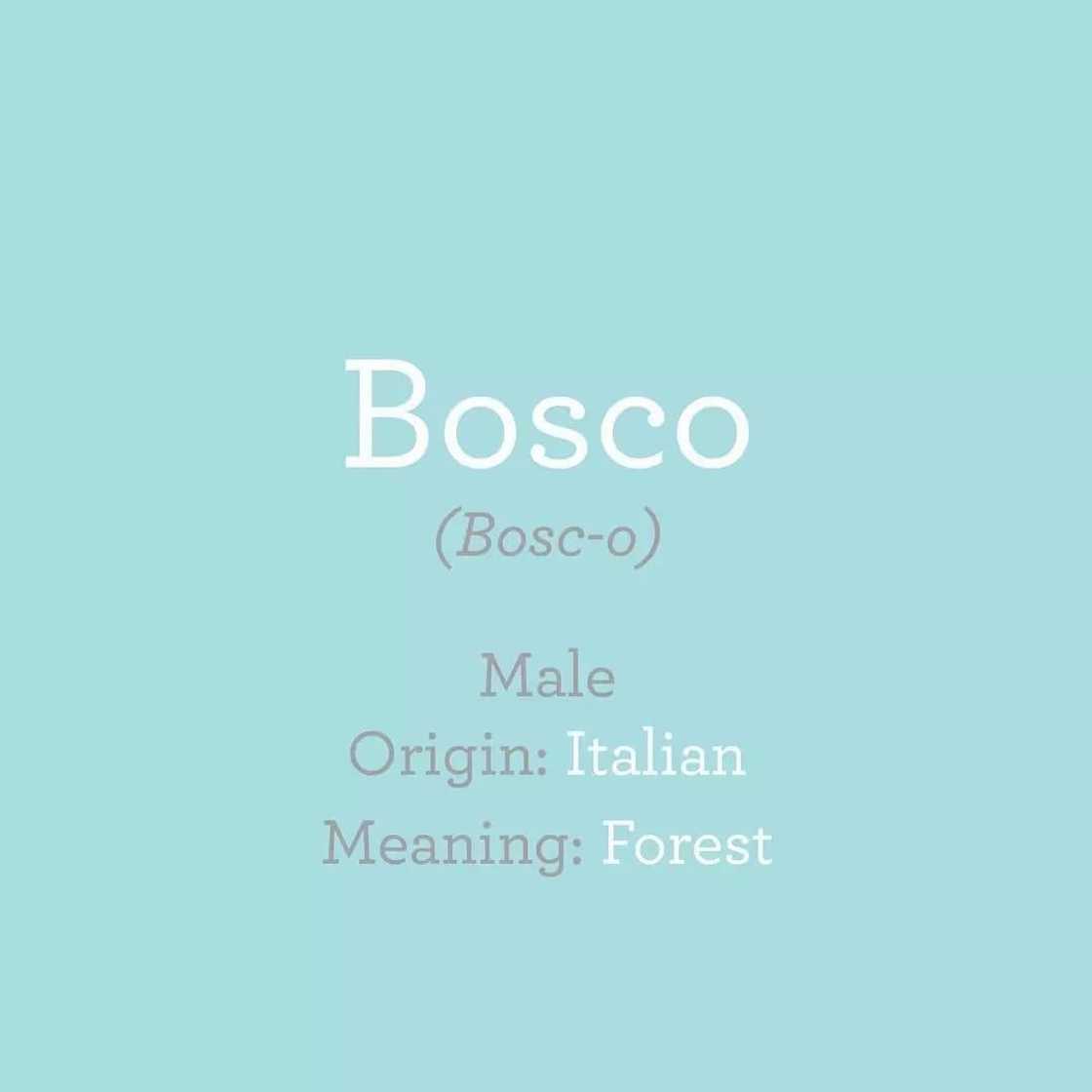 italian male last names
hottest italian male names
italian n boy names
italian men's names beginning with m italian male last names
hottest italian male names
italian n boy names
italian men's names beginning with m