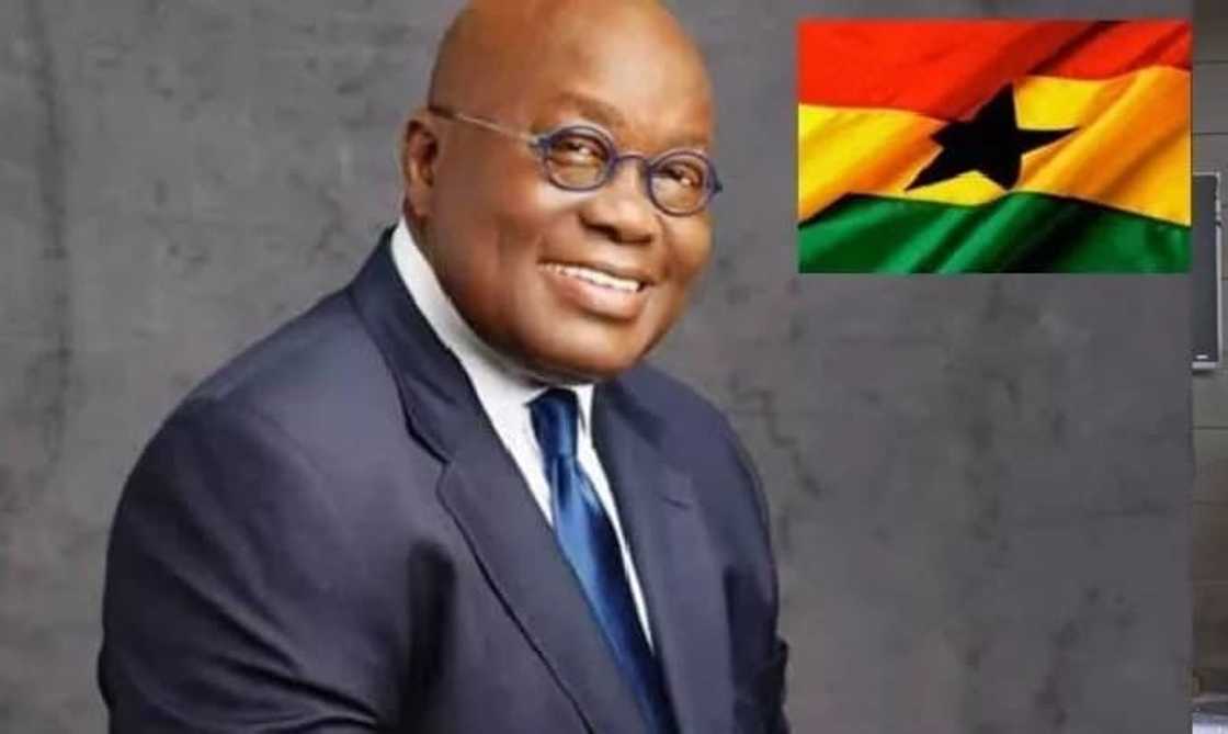 Nana addo profile Nana addo profile
