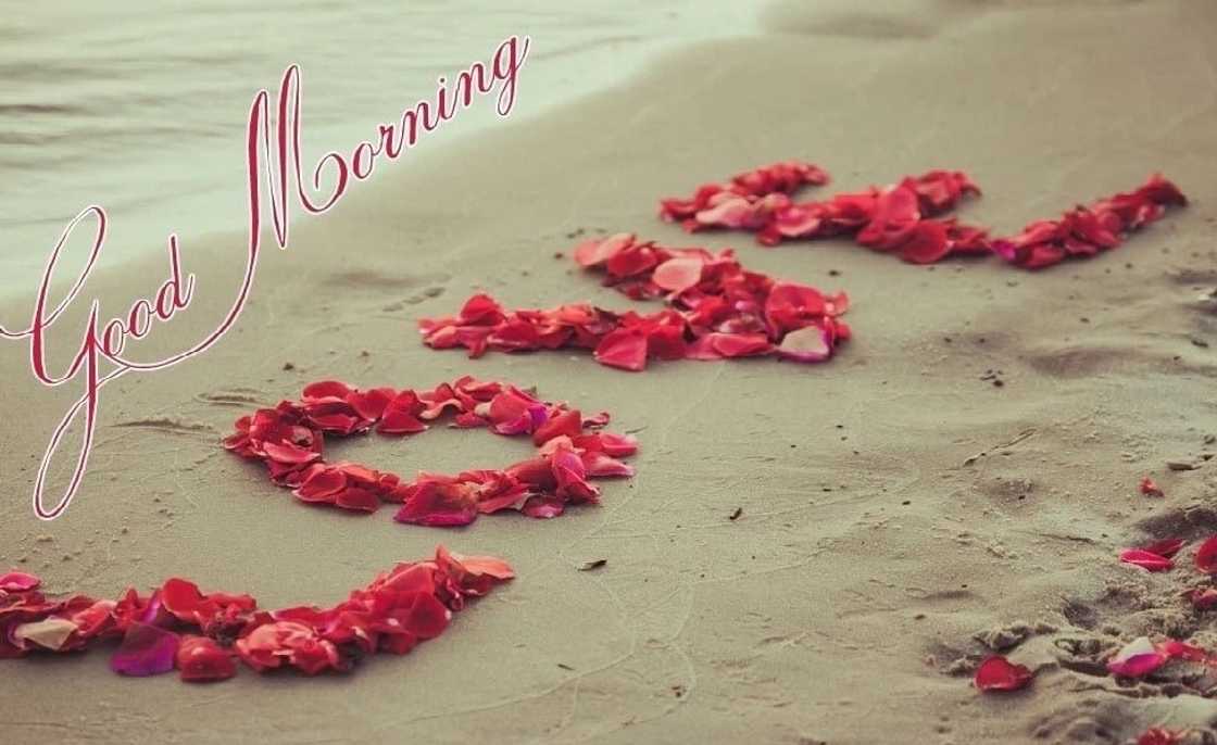 good morning love messages
good morning message
good morning messages
sweet good morning message
morning message good morning love messages
good morning message
good morning messages
sweet good morning message
morning message