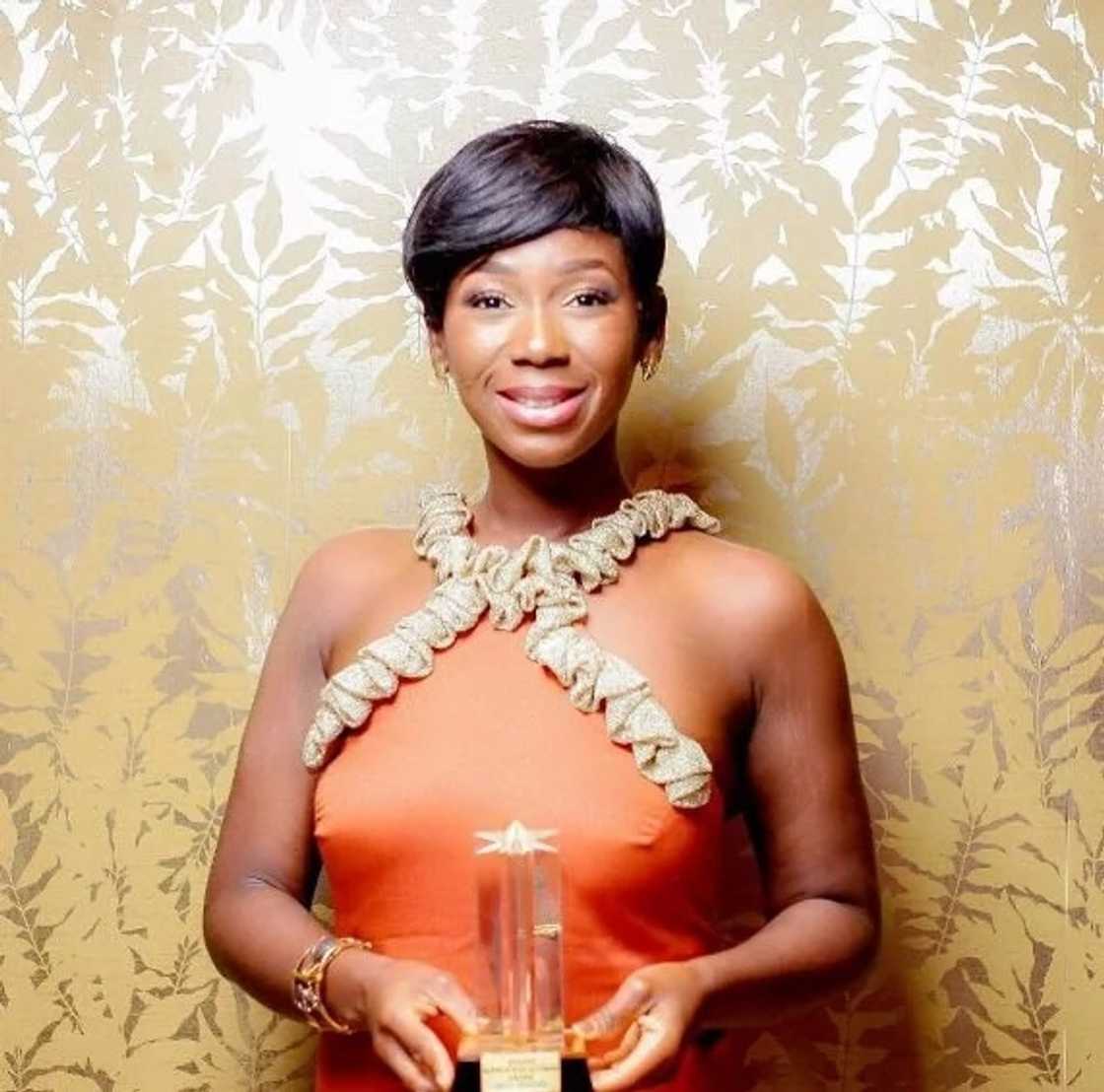 Celebrities and the university degrees they hold Celebrities and the university degrees they hold