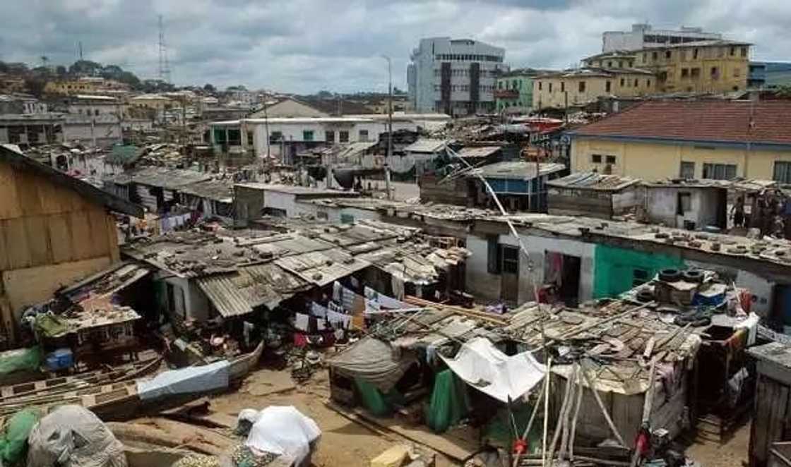 Only thieves Only thieves