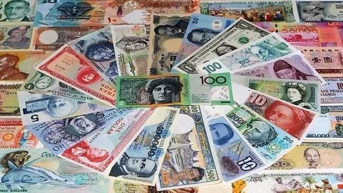 west african countries and their currencies
countries of asia and their currencies
list of muslim countries and their currencies
south american countries and their currencies
american countries and their currencies