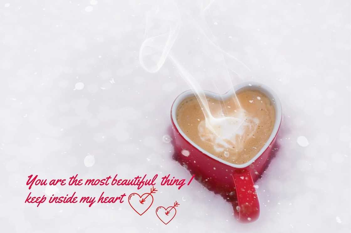 love quotes for him from the heart
what is true love
i love you quotes for him
love quotes for girlfriend love quotes for him from the heart
what is true love
i love you quotes for him
love quotes for girlfriend