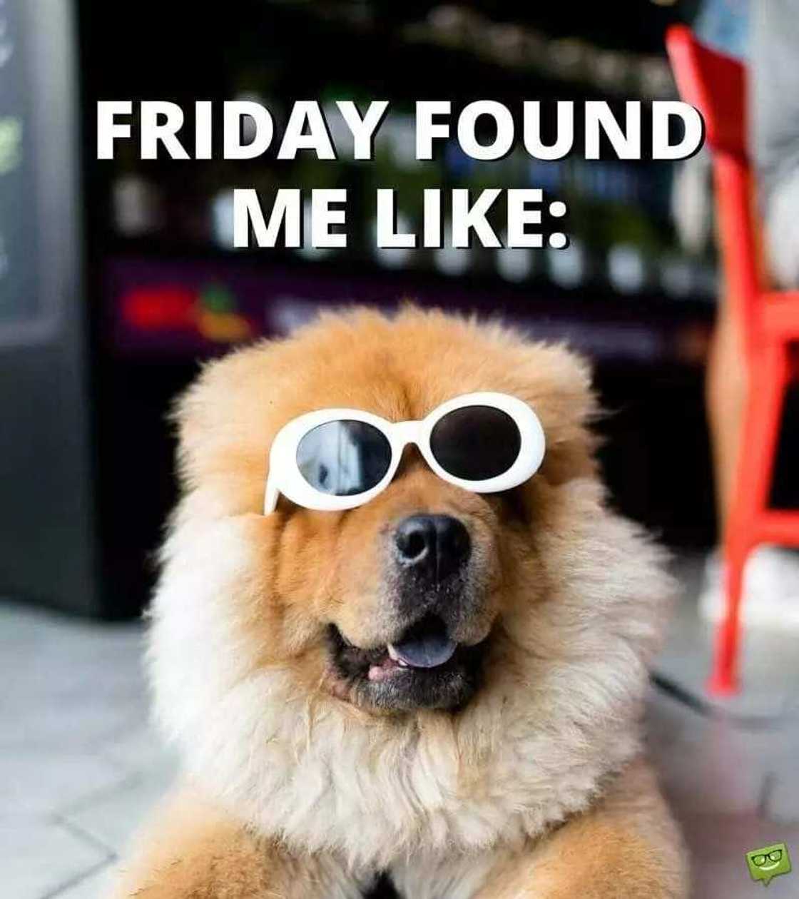 Friday work quotes
inspirational quotes for Friday
motivational quotes for Fridays Friday work quotes
inspirational quotes for Friday
motivational quotes for Fridays