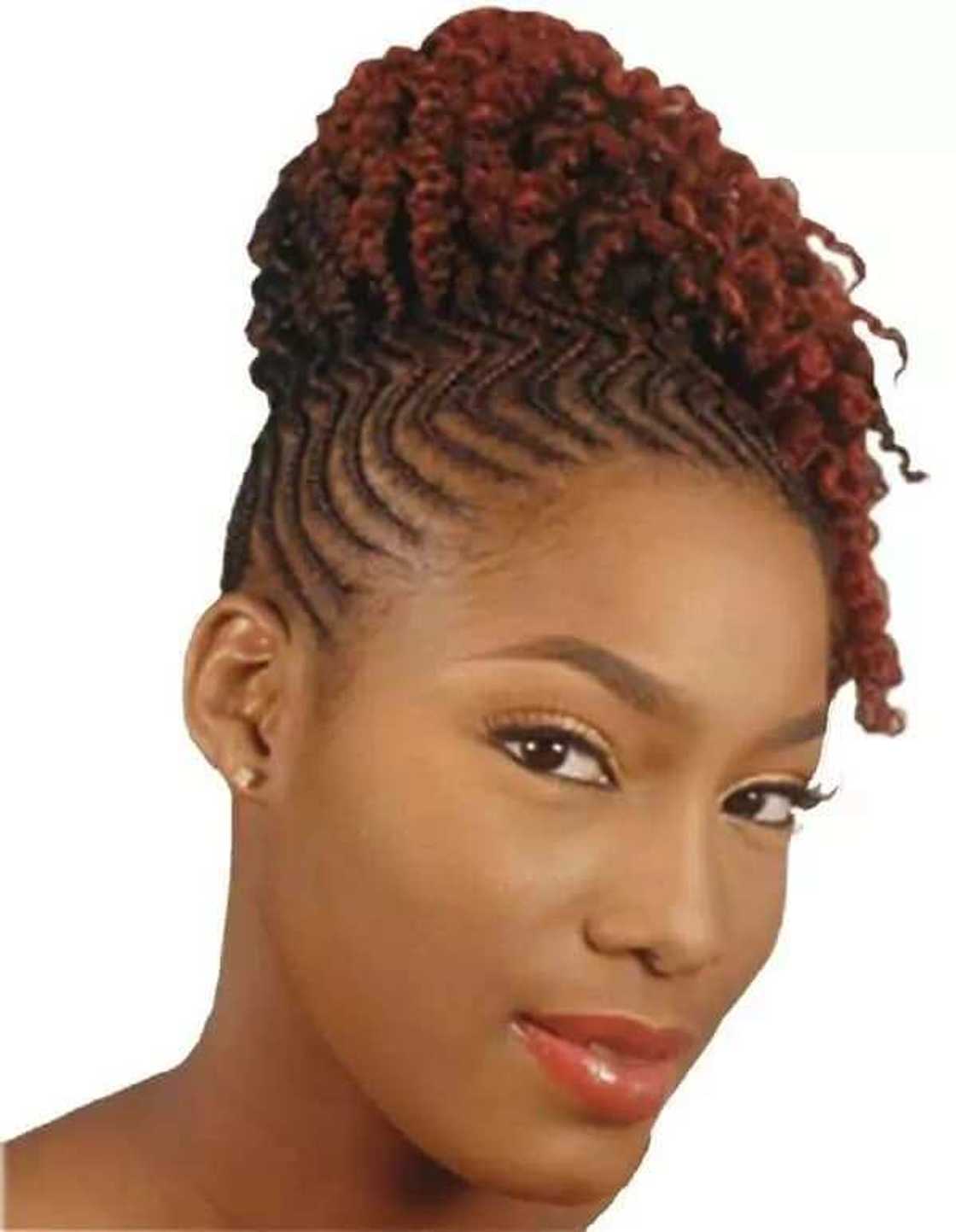 hairstyles for short afro
black updos for short hair
pictures of short black hairstyles
afro hairstyles for short hair