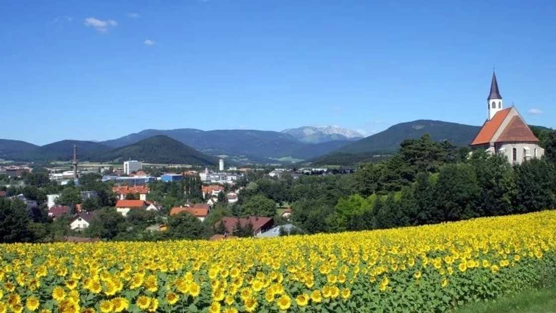 List of cities in Austria
List of names of cities in Austria
States in Austria List of cities in Austria
List of names of cities in Austria
States in Austria