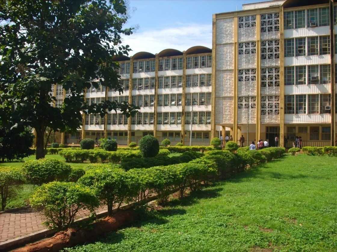 erekum college of education admission
berekum college of education forms
address of berekum college of education
courses offered at berekum college of education erekum college of education admission
berekum college of education forms
address of berekum college of education
courses offered at berekum college of education