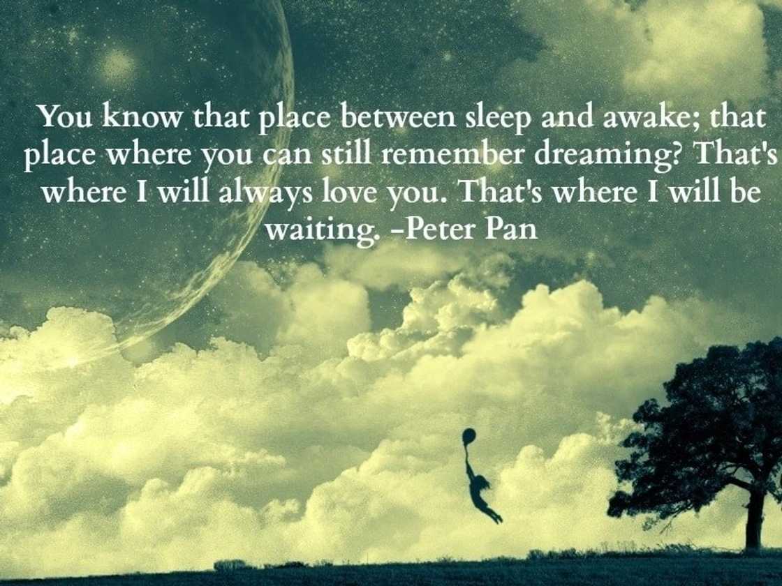 message of condolence, sorry for your loss, condolence quotes message of condolence, sorry for your loss, condolence quotes