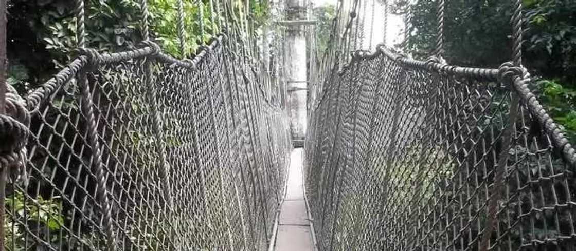 10 best tourist sites in Ghana you should visit at least once in your life 10 best tourist sites in Ghana you should visit at least once in your life