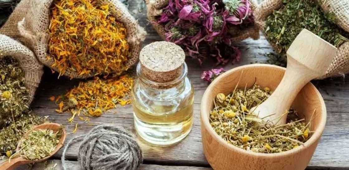 Traditional herbal medicine in Ghana - history and current state