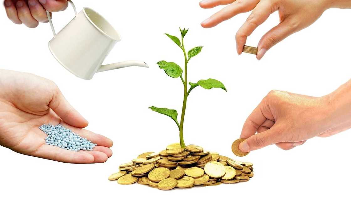 free peer to peer fundraising software
peer to peer ghana
givers room club free peer to peer fundraising software
peer to peer ghana
givers room club