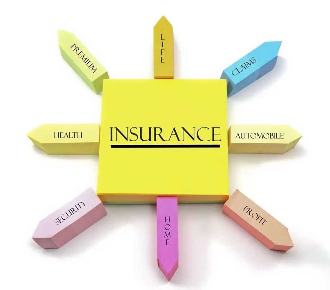 ghana insurance college courses
ghana insurance college admission
ghana insurance college location
ghana insurance college contact ghana insurance college courses
ghana insurance college admission
ghana insurance college location
ghana insurance college contact