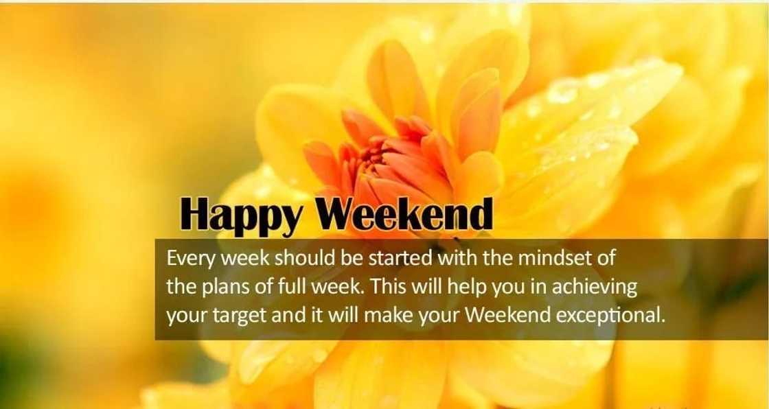 funny happy weekend messages, have a great weekend quotes, good weekend quotes funny happy weekend messages, have a great weekend quotes, good weekend quotes