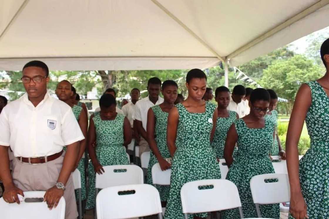 7 senior high schools that speak good english 7 senior high schools that speak good english