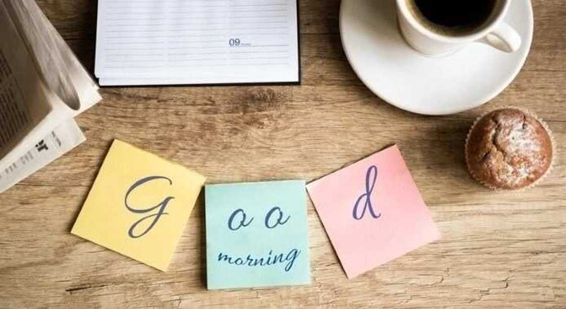 Sweet good morning messages for him 2019 Sweet good morning messages for him 2019