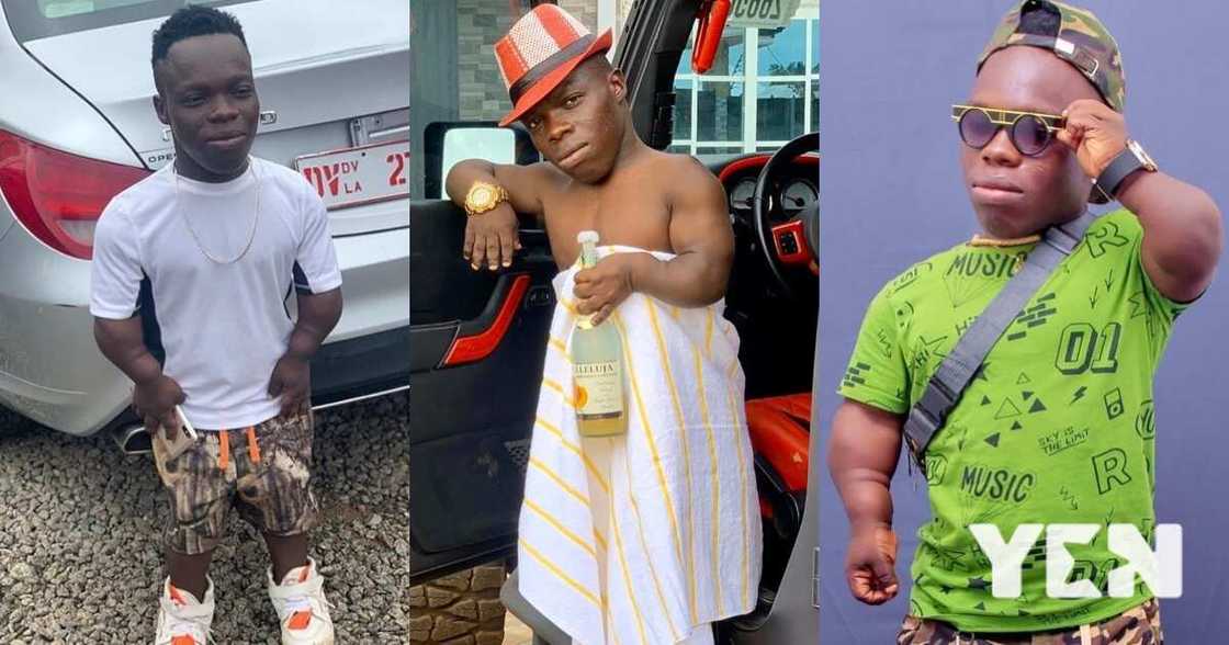 Lagos jollof is better than you - Shatta Bandle jabs Akufo-Addo; tells him to #FixTheCountry Lagos jollof is better than you - Shatta Bandle jabs Akufo-Addo; tells him to #FixTheCountry