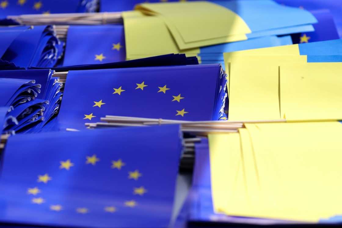 Brussels estimates that Kyiv will need an extra 135 billion euros ($160 billion) to cover its military and government budget over the next two years