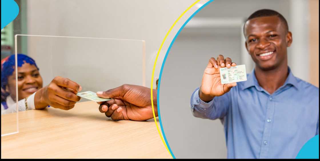 New license cards New license cards