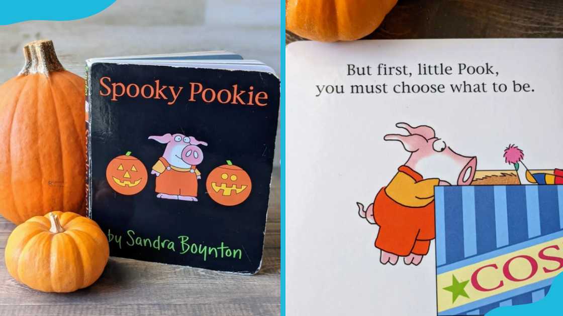 Sandra Boynton's Spooky Pookie