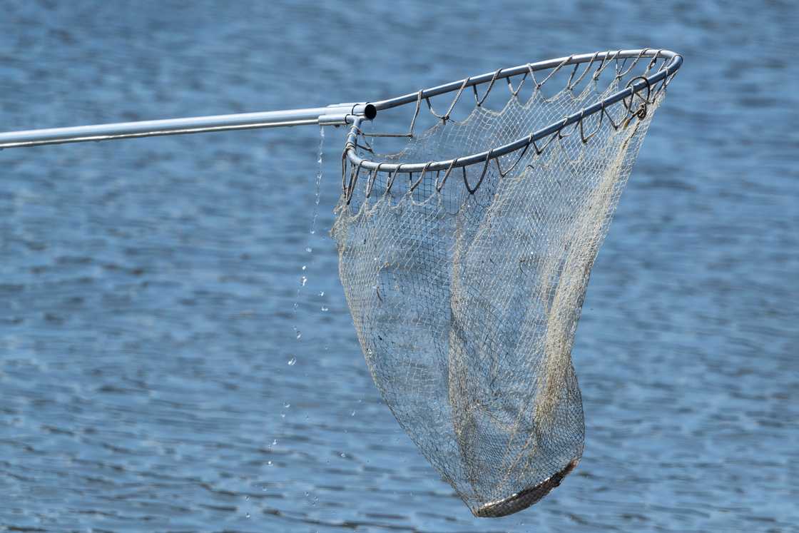 A fishing net is above a water body A fishing net is above a water body