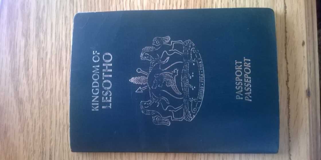 Here are the 7 most powerful passports in Africa right now