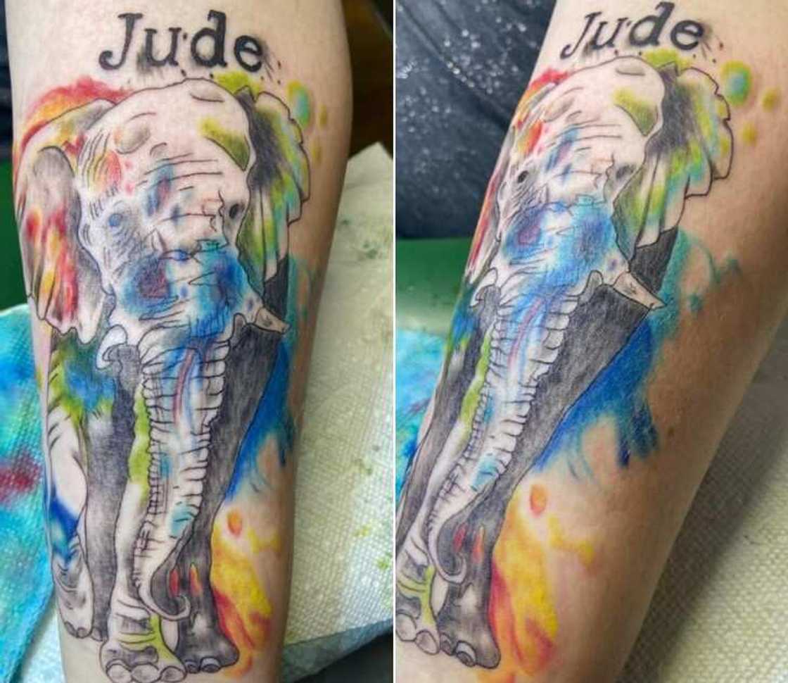 Elephant tattoo Elephant tattoo