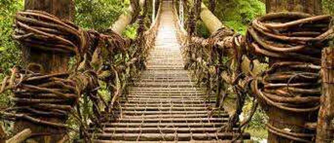most dangerous bridges in the world most dangerous bridges in the world