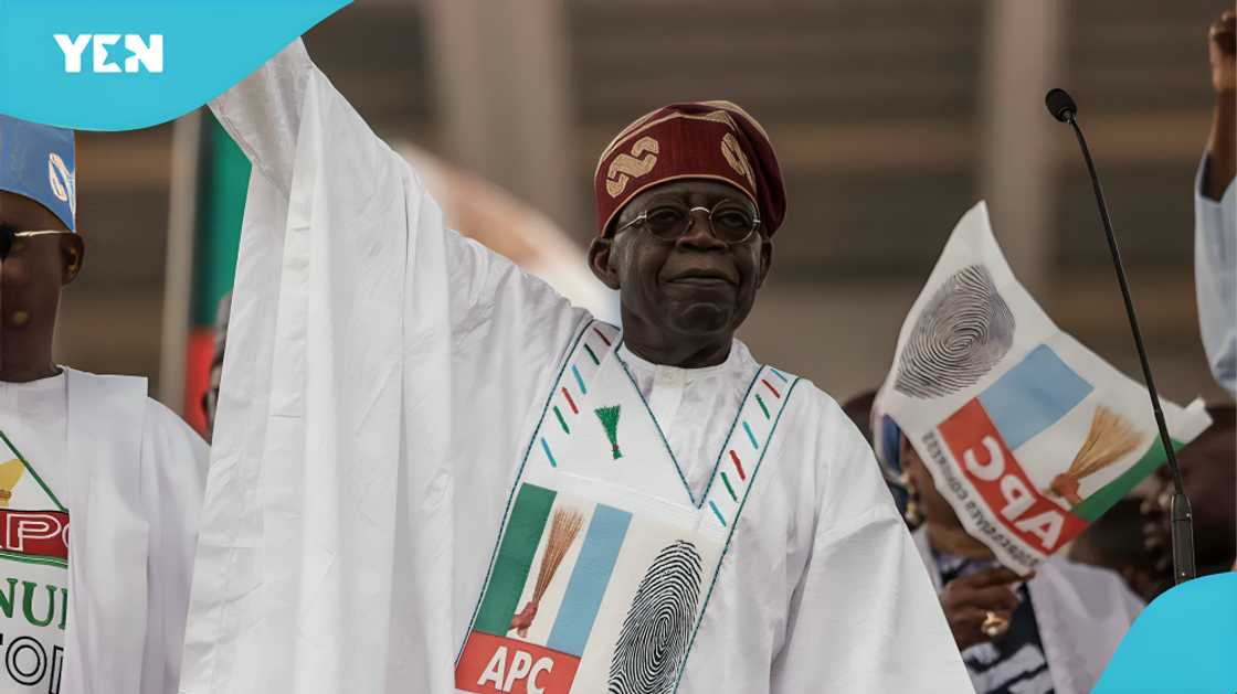 City Boy Movement, APC Nigeria, 2031 election, Mariya Mahmud, Nigeria presidential Villa, Nigerian youth, political engagement in Nigeria, Tinubu re-election campaign, grassroots political structure