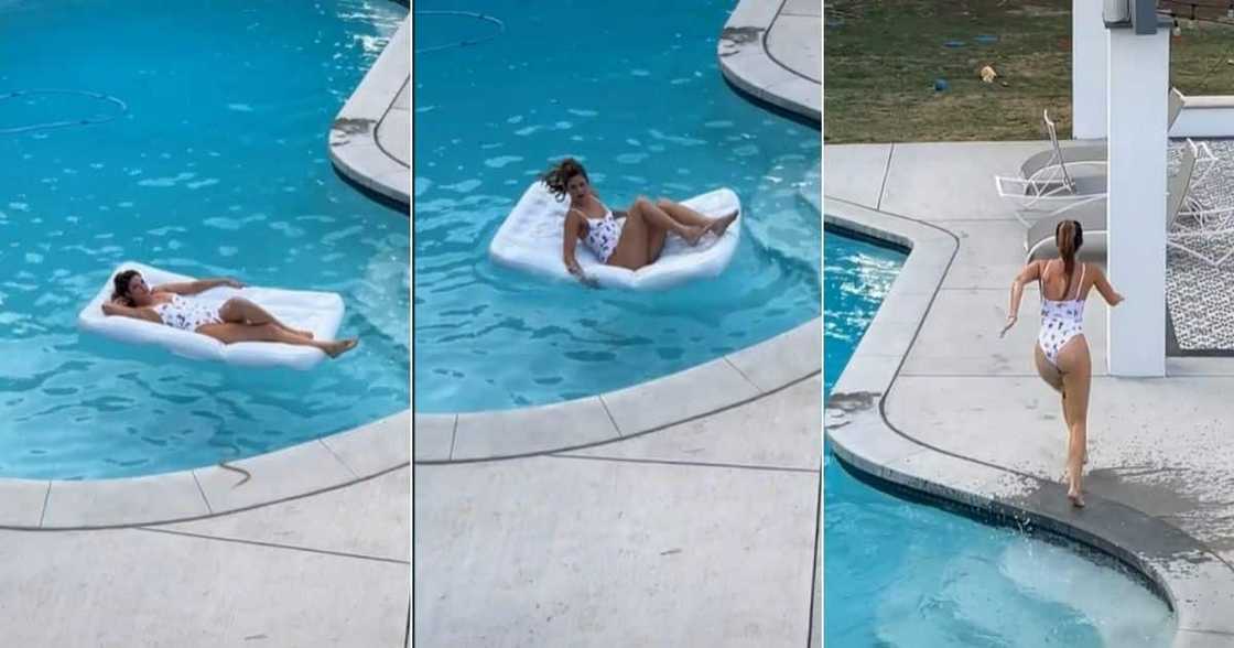 Swimming Pool, Snake, South Africa