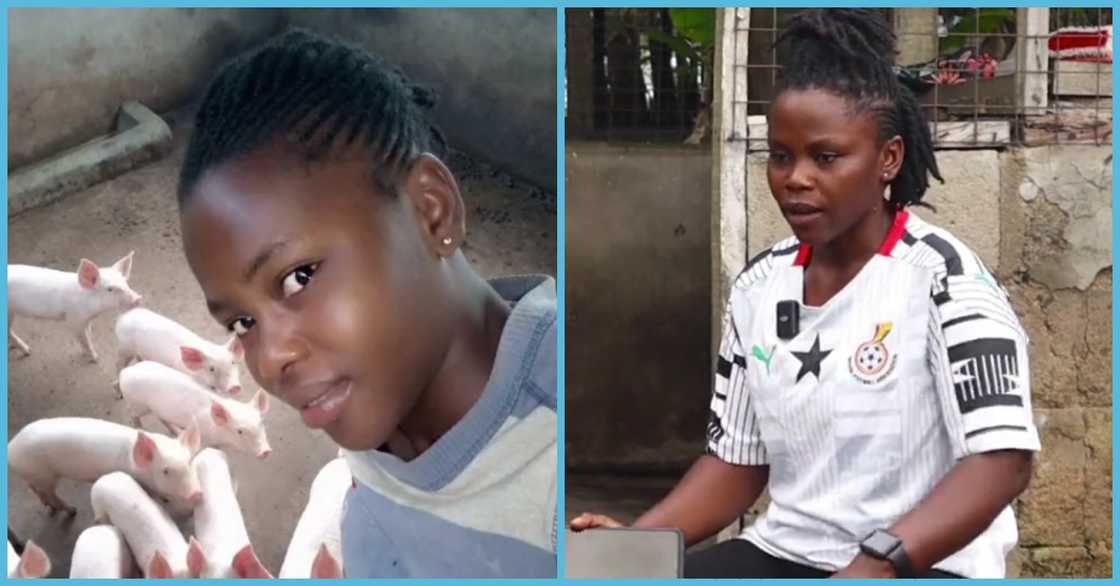 Maame Efua, a Ghanaian pig farmer Maame Efua, a Ghanaian pig farmer