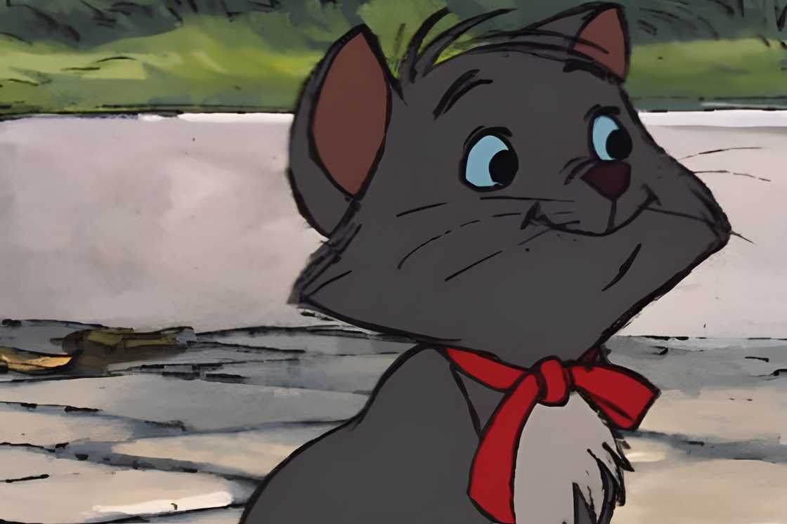 Berlioz is sitting on the ground Berlioz is sitting on the ground