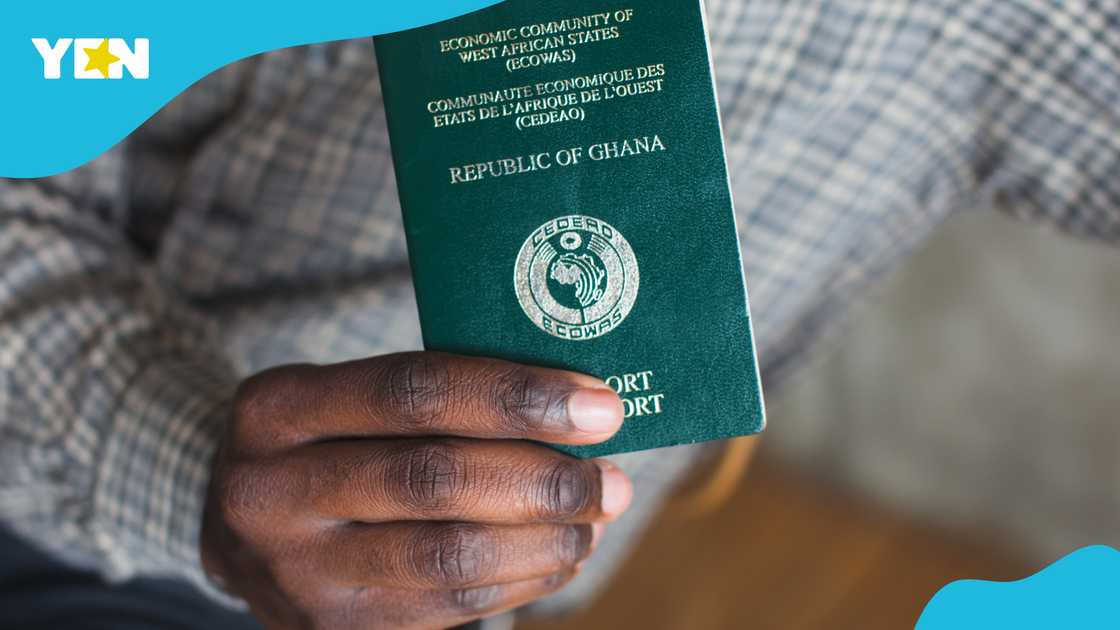 Ghanaians With German Citizenship Demand That Their Ghanaian Citizenship Be Reinstated