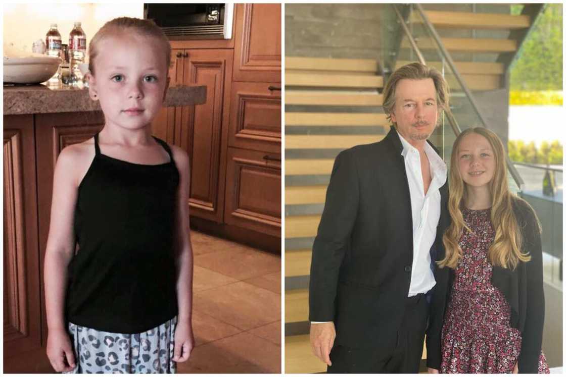 Harper Spade Harper Spade