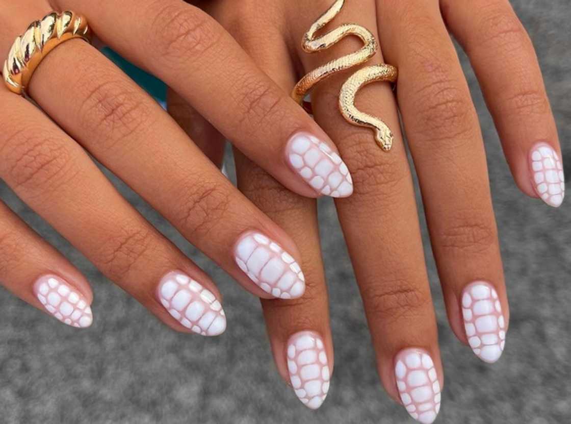 White snake print nails White snake print nails