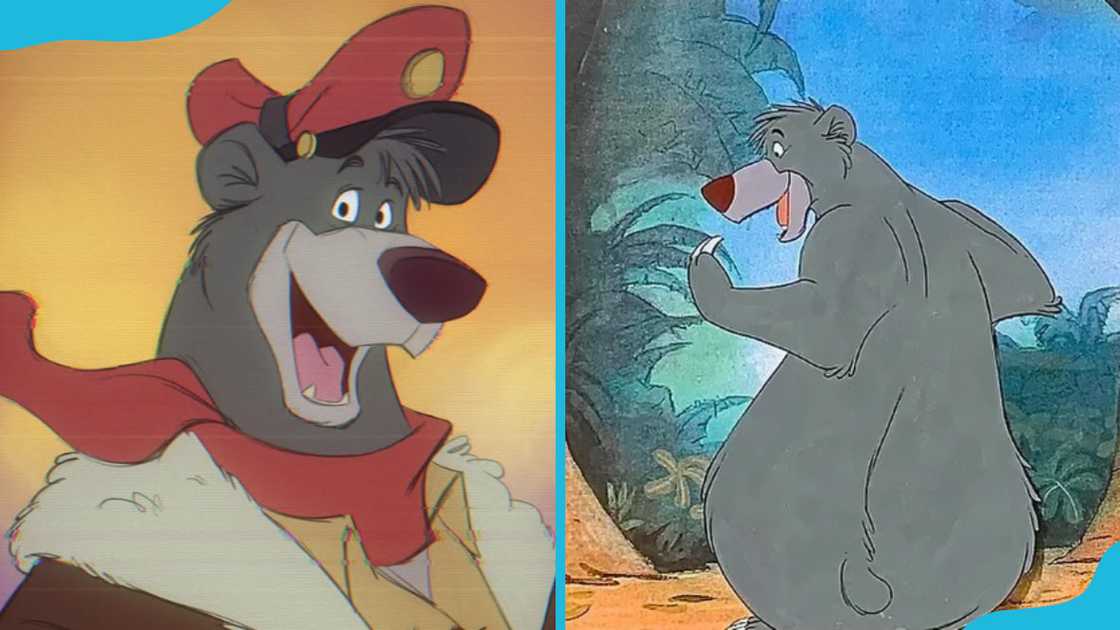Baloo from The Jungle Book Baloo from The Jungle Book